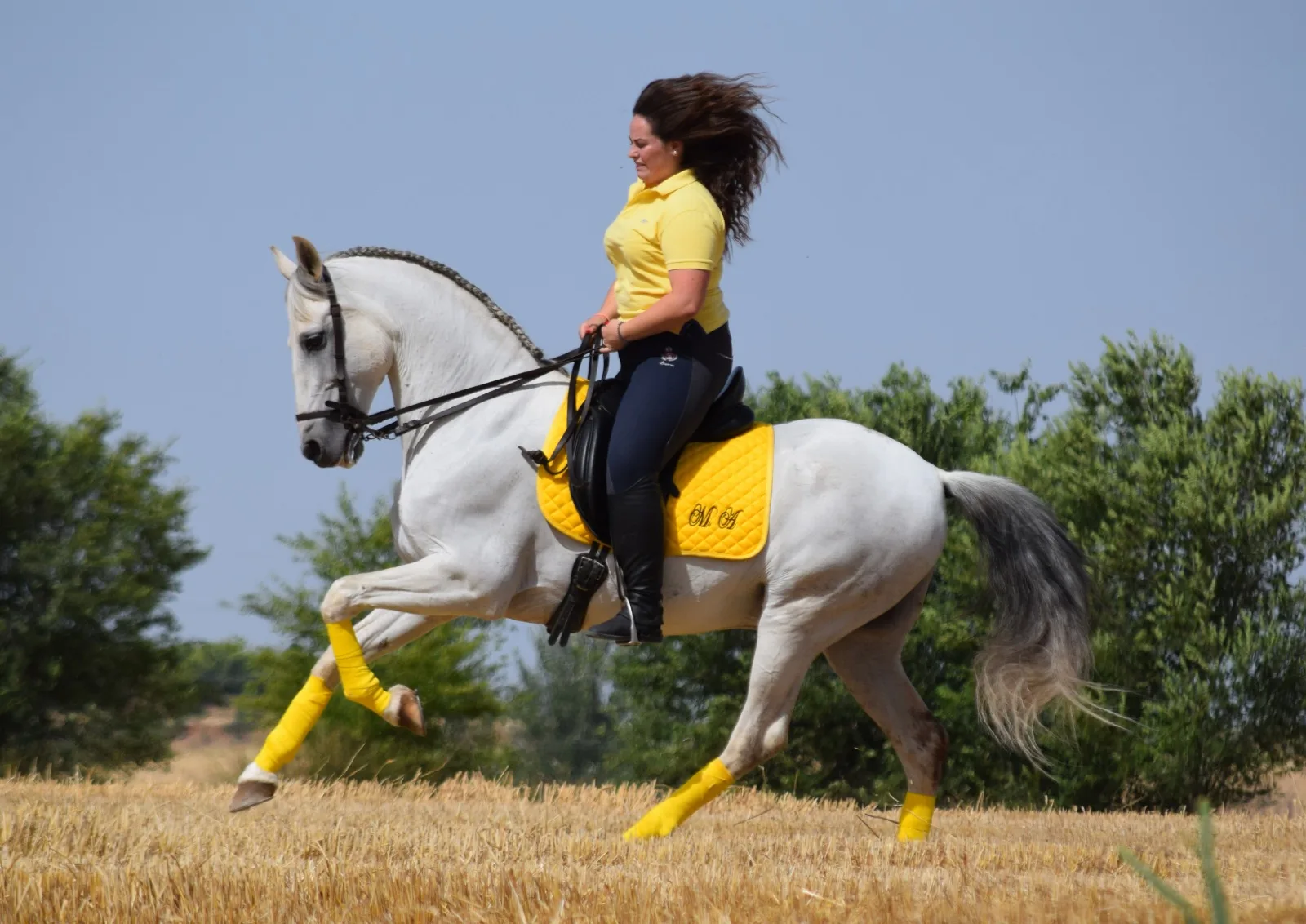 Maria Pupilaje caballos Madrid - Hípica Meco